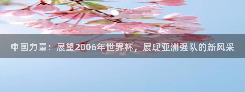 2026年世界杯：中國力量：展望2006年世界杯，展現亞洲強隊的新風采
