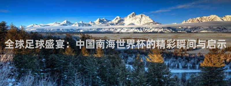 世界杯預選賽歐洲：全球足球盛宴：中國南海世界杯的精彩瞬間與啟示
