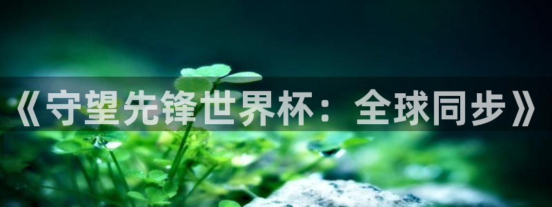 世界杯足球2026：《守望先鋒世界杯：全球同步》