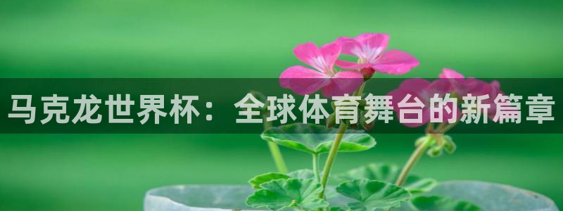 世界杯官網(wǎng)入口：馬克龍世界杯：全球體育舞臺的新篇章