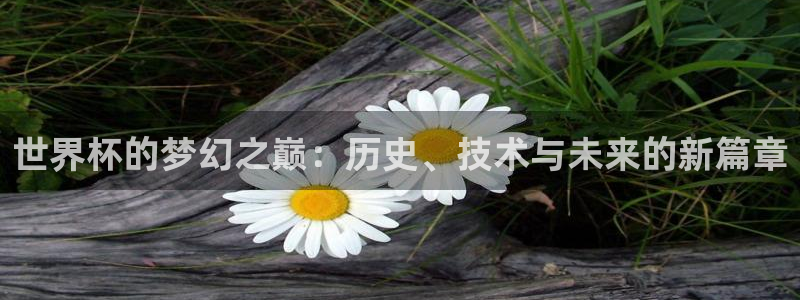 世界杯歐洲區預選賽：世界杯的夢幻之巔：歷史、技術與未來的新篇章