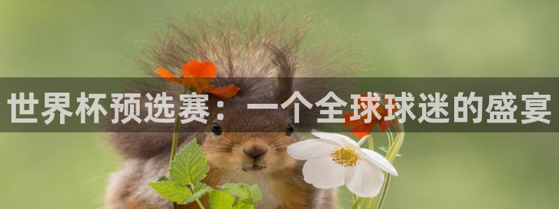 世俱杯直播：世界杯預選賽：一個全球球迷的盛宴
