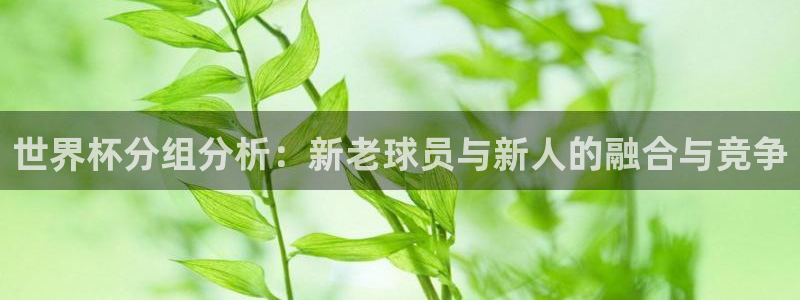 女足世界杯賽程：世界杯分組分析：新老球員與新人的融合與競爭